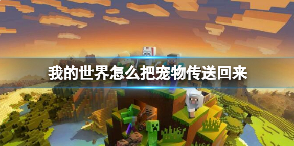 我的世界怎么把宠物传送回来1