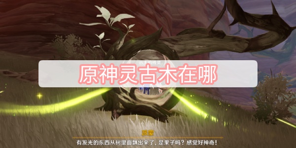 原神灵古木在哪1