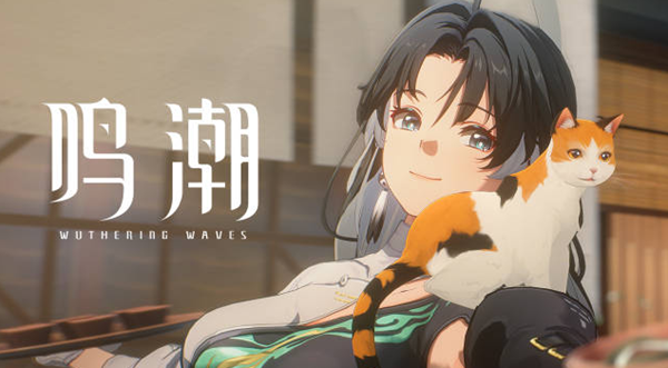 鸣潮鉴心声骸怎么选择1