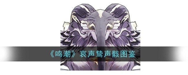 鸣潮哀声鸷声骸怎么样1