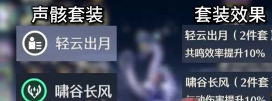 鸣潮秧秧声骸词条怎么选择2