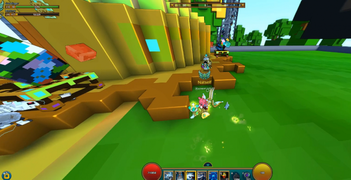 宝藏世界皮纳塔商人在哪1