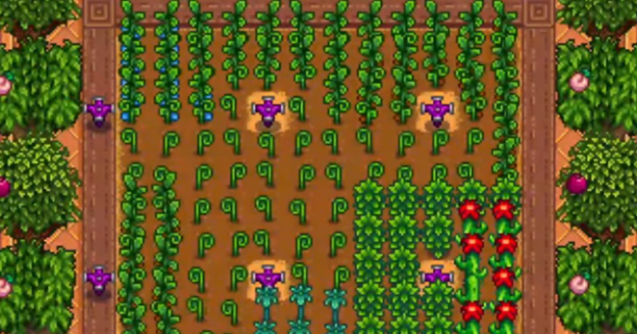 星露谷物语后期怎么赚钱3