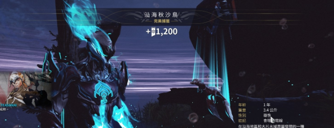 星际战甲小鸭子声望有什么用啊3