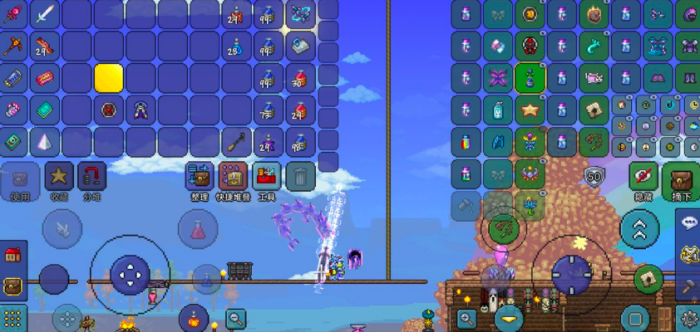 泰拉瑞亚有哪些饰品1