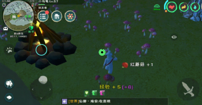 创造与魔法红蜥蜴饲料怎么做_创造与魔法绿蜥蜴的位置在哪