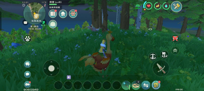 创造与魔法云斑鹦鸟怎么抓3