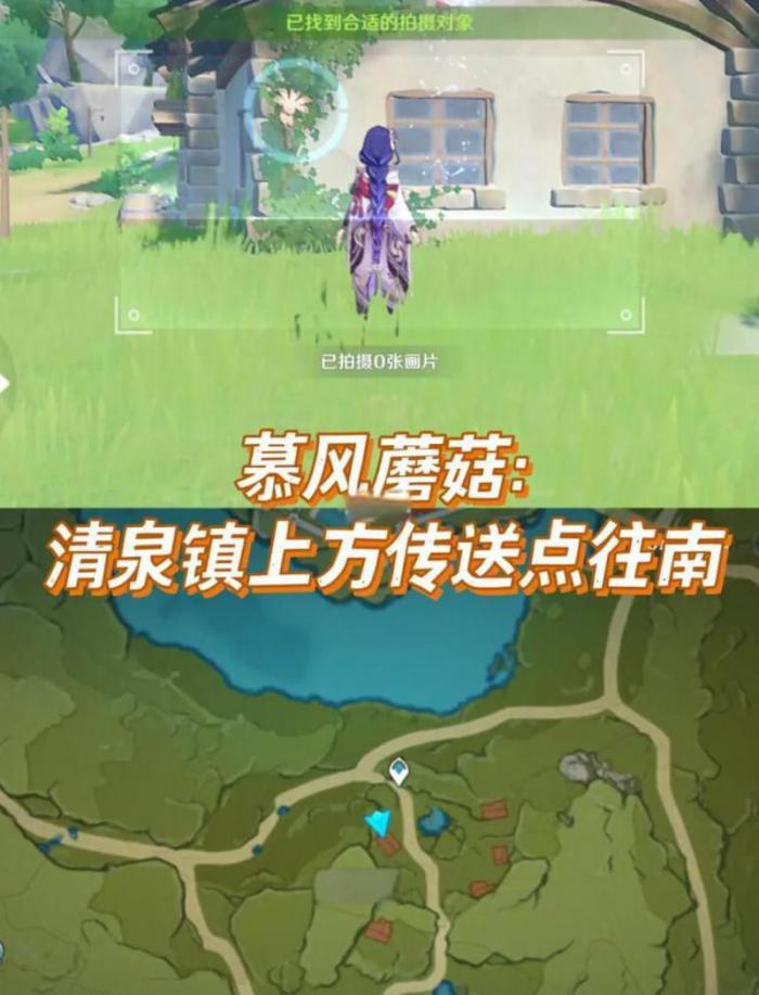 原神蒙德地区特产哪里多3