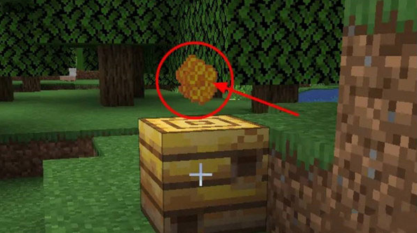 我的世界蜜蜂怎么养殖3