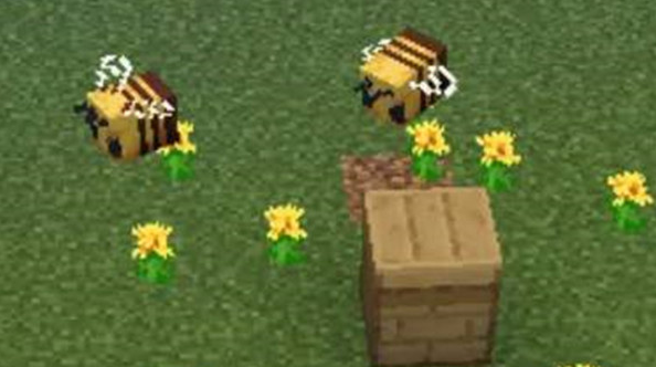 我的世界蜜蜂怎么养殖8