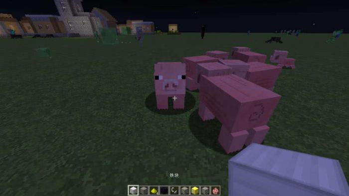 我的世界村庄出现在哪些地点1