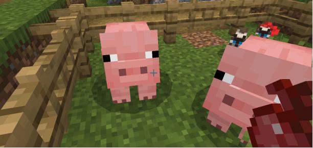 我的世界村庄出现在哪些地点2