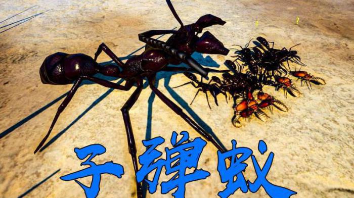 地下蚁国怎么玩行军蚁1