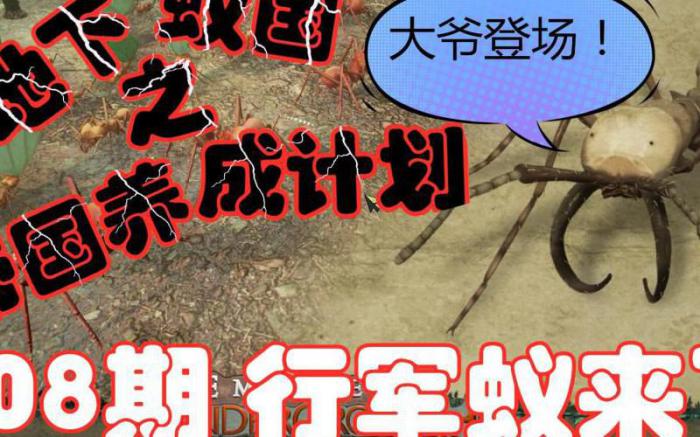 地下蚁国怎么玩行军蚁2