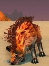 《魔兽世界》怀旧服疱爪土狼介绍1