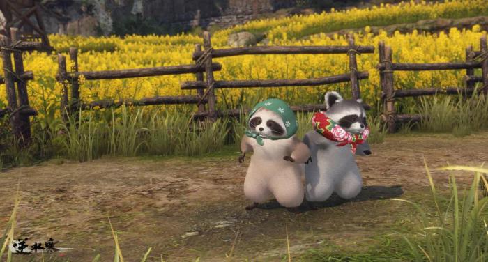 逆水寒新宠物小浣熊_逆水寒萌宠