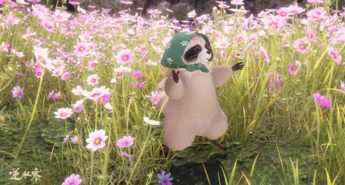 《逆水寒》新宠物小浣熊介绍7