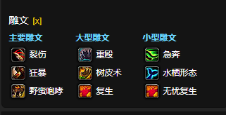 魔兽世界CTM怀旧服熊T雕文选择1