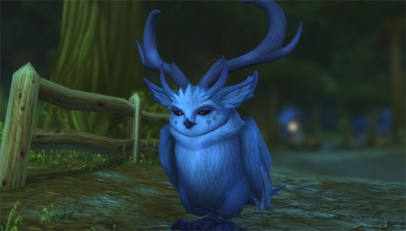 魔兽世界乌龟服猫头鹰和蝙蝠选哪个1