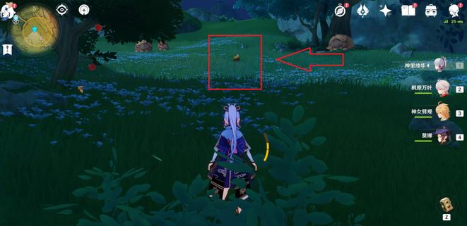 原神雨林生灵位置在哪2