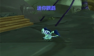 魔兽世界迷你鹦鹉怎么获得1