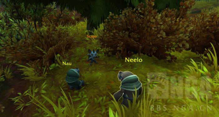 魔兽世界走丢的豺狼人宝宝任务攻略1