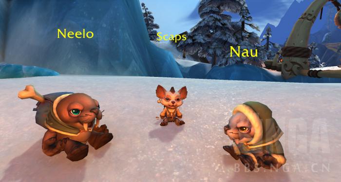 魔兽世界走丢的豺狼人宝宝任务攻略16