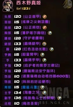 魔兽世界TBC毒蛇防骑踏潮无走位打小鱼人方法4