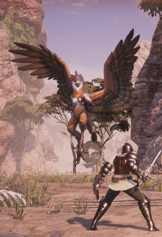 神佑释放扭曲的鹰身人女王_神佑释放守护圣女的灵魂碎片