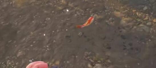 永劫无间锦鲤在哪里抓1