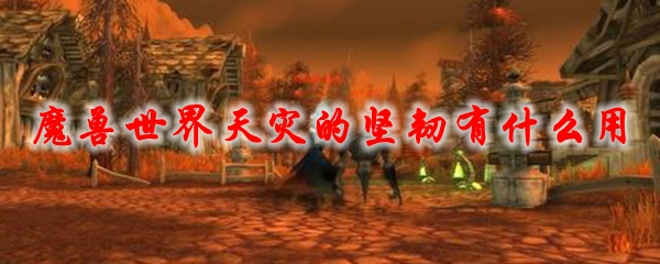 魔兽世界天灾的坚韧_天灾的坚韧 附魔