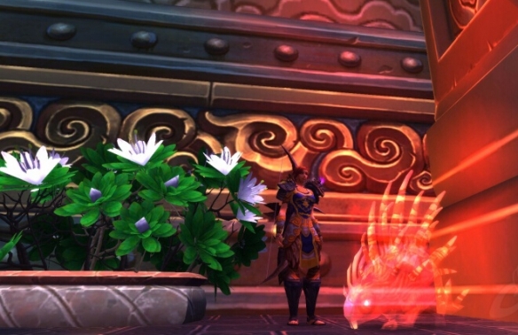 魔兽世界德古怎么抓2