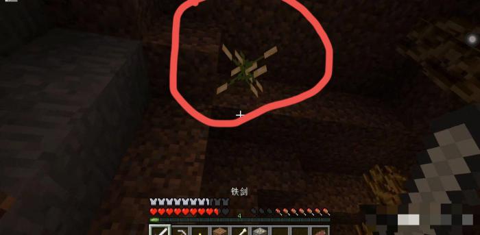 我的世界火炬浆果_我的世界火炬浆果怎么种植