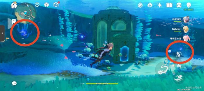 原神彭彭兽喂食任务第一次攻略2