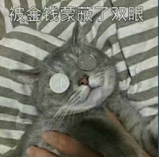 《DNF》花最少的钱提升最大的属性1