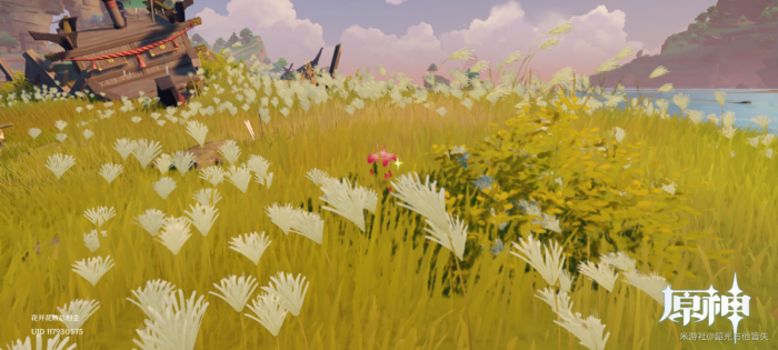 原神乡愁拍照位置介绍6