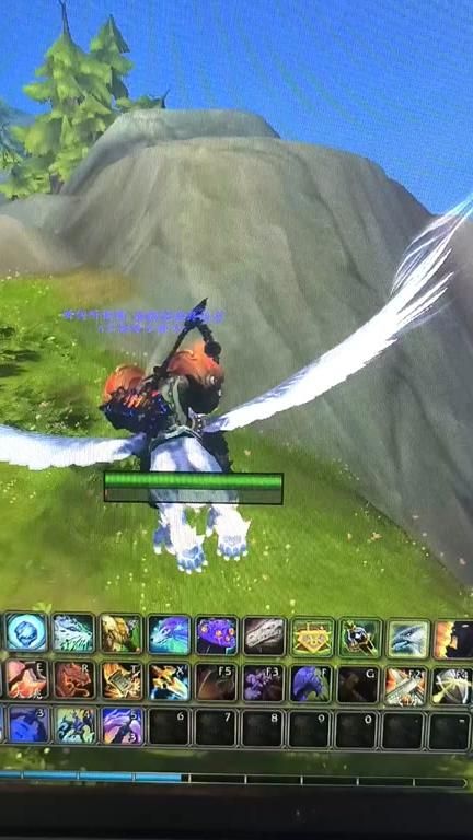 魔兽世界宠物对战最强组合是什么2