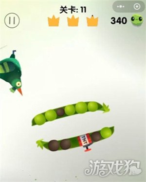 疯狂的鸽子第11关怎么过2
