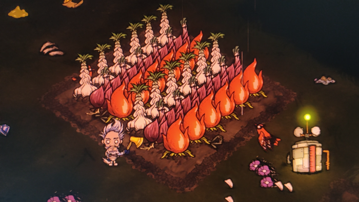 饥荒联机版什么作物性价比高_饥荒联机版必做的事情 饥荒联机版什么作物性价比高_饥荒联机版必做的事情