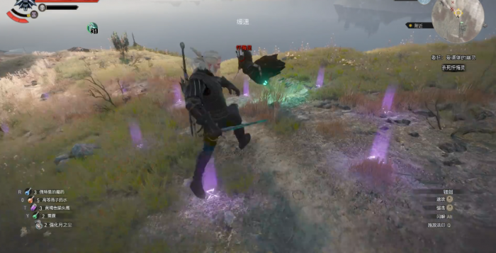 巫师3忏悔灵怎么打2