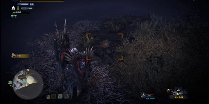 怪物猎人世界绿宝石鳖在哪3