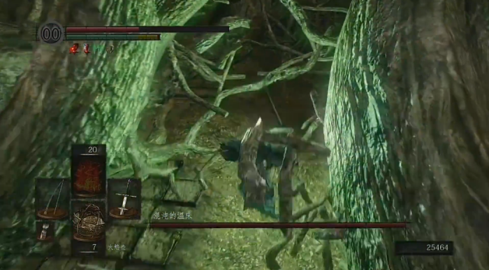 黑暗之魂混沌的温床怎么打2