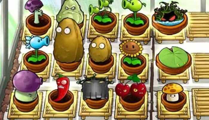 植物大战僵尸1无尽在哪里打2