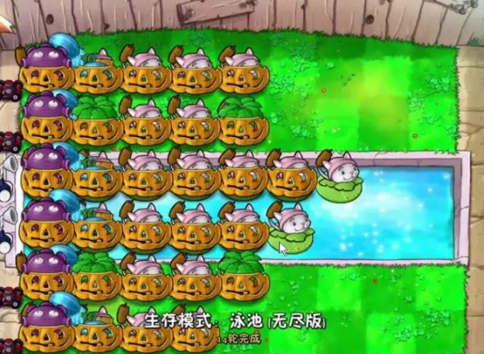 植物大战僵尸紫卡植物怎么用3