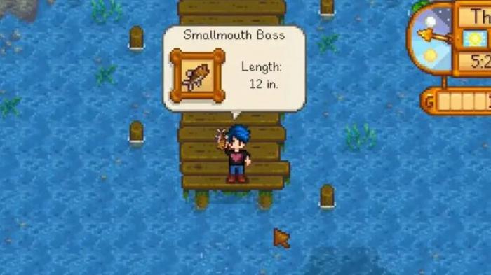 星露谷物语新手钓鱼有哪些技巧3