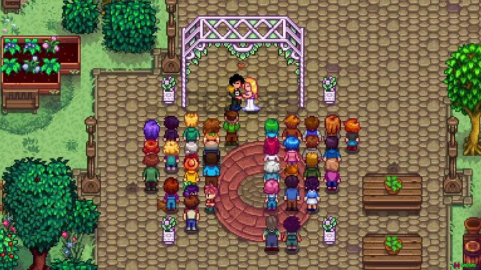 星露谷物语葡萄酒怎么酿2