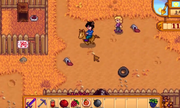 星露谷物语法师有什么用3