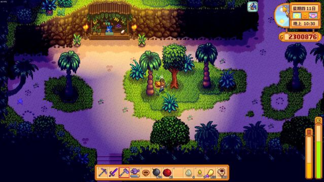 星露谷物语姜岛核桃怎么拿1