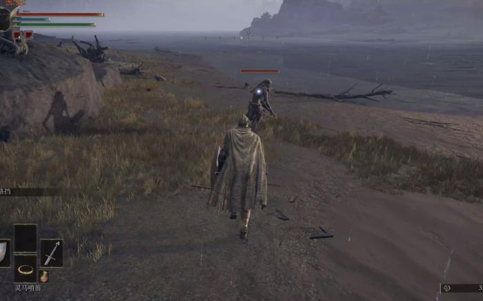 艾尔登法环盾刺流武器有哪些3