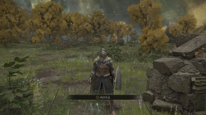 艾尔登法环火山神皮在哪2